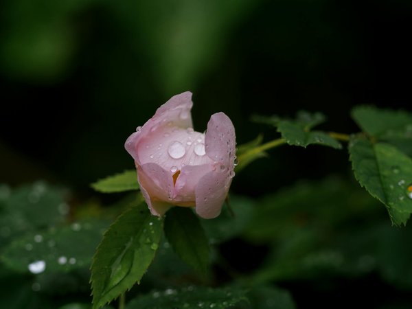 Les meilleurs experts en maçonnerie à Ancenis