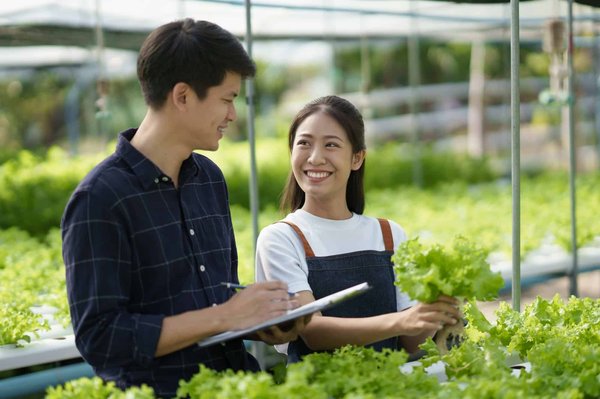 Comment intégrer un espace de culture hydroponique dans une cuisine de design moderne ?
